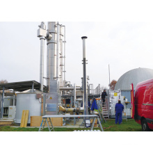 Biogas Upgrading by Pressure Swing Adsorption Method